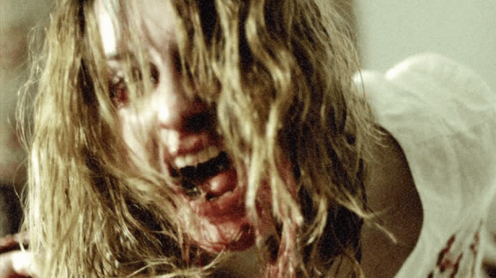 vlcsnap-2014-11-21-15h57m51s23