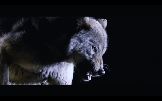 Screen shot 2015-06-26 at 12.26.56 PM